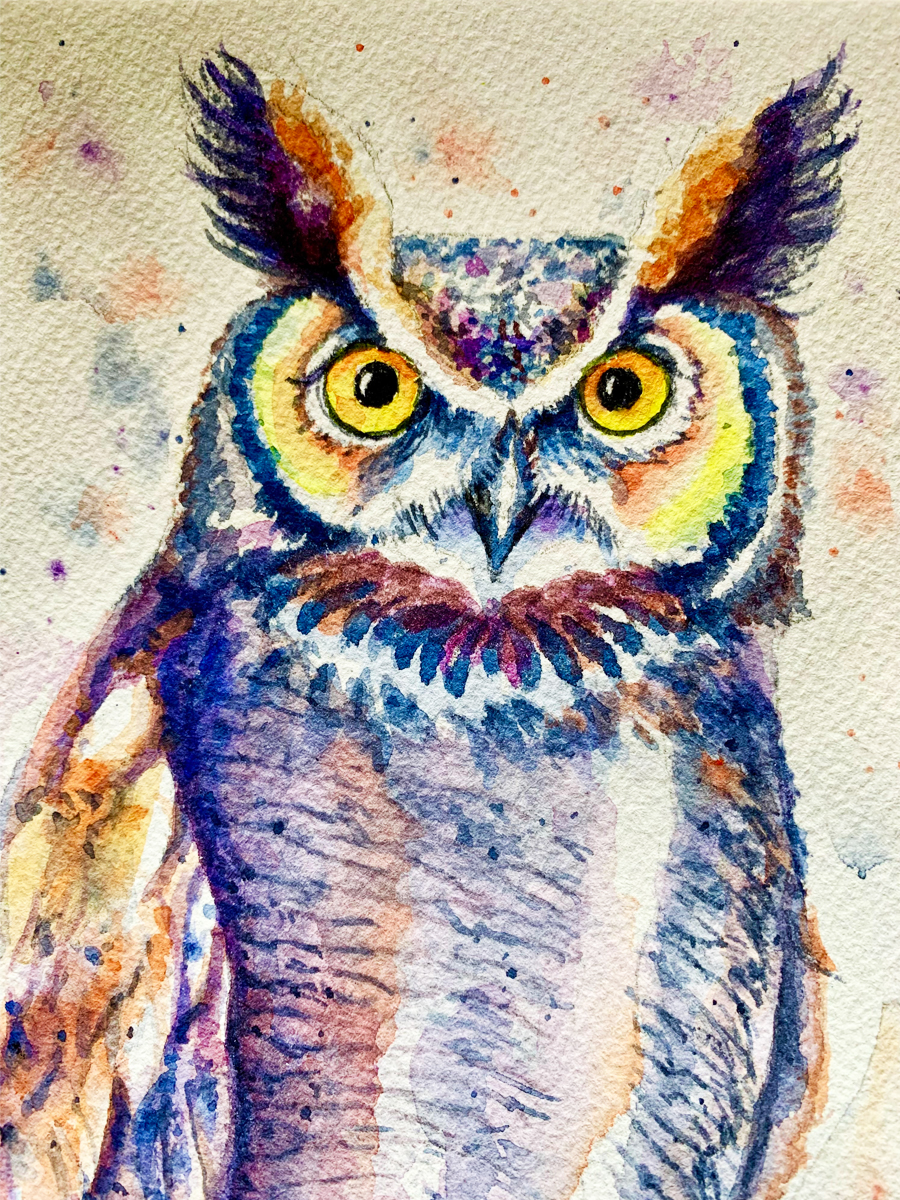 colorful watercolor owl